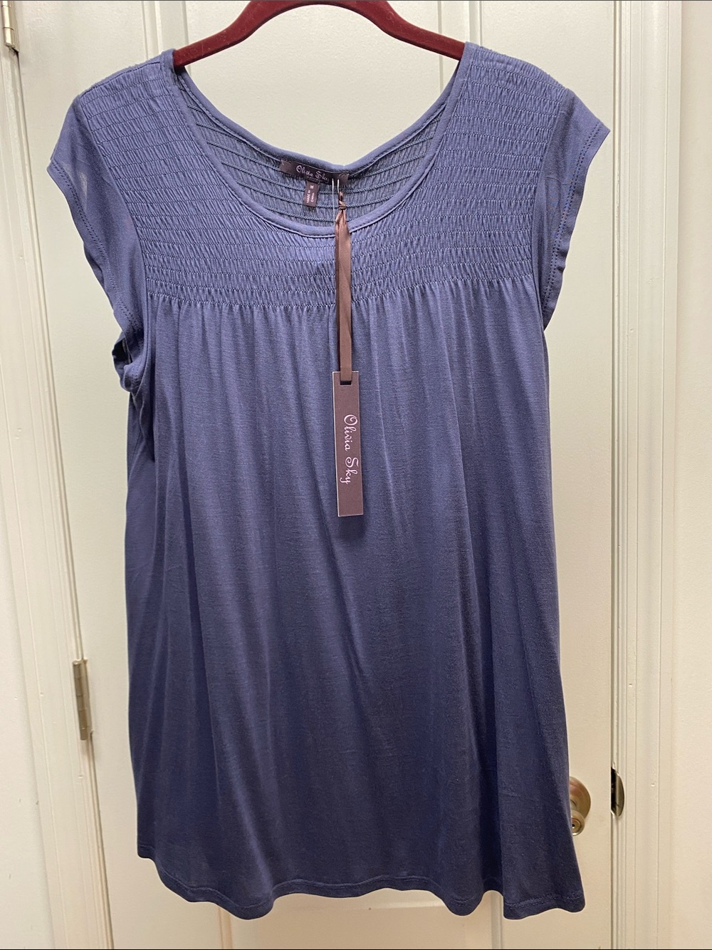 Olivia Sky Smocked Yoke Cap Sleeve Tunic - Dusty Blue
